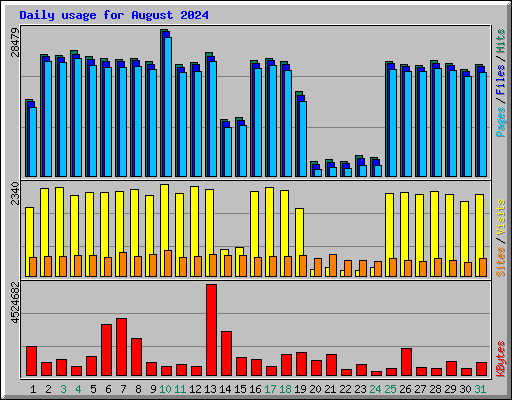 Daily usage for August 2024