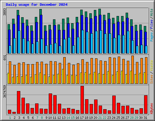 Daily usage for December 2024