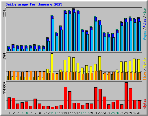 Daily usage for January 2025