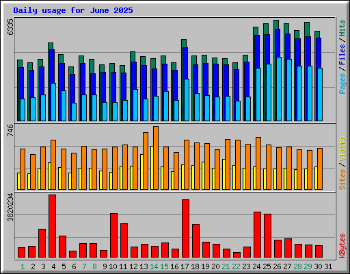 Daily usage for June 2025