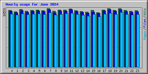 Hourly usage for June 2024