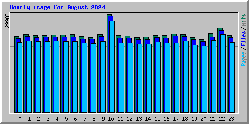 Hourly usage for August 2024