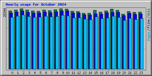 Hourly usage for October 2024