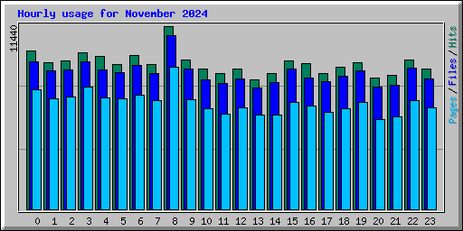 Hourly usage for November 2024
