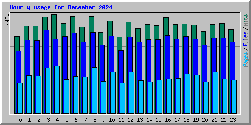 Hourly usage for December 2024