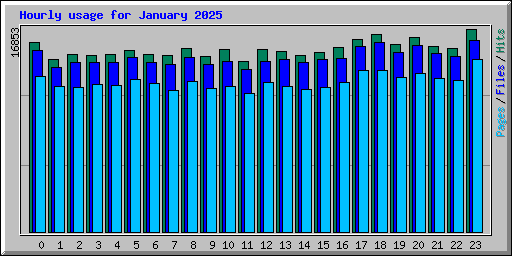 Hourly usage for January 2025