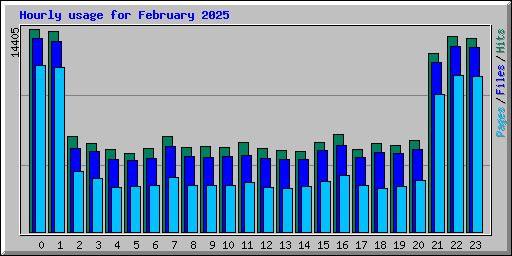 Hourly usage for February 2025