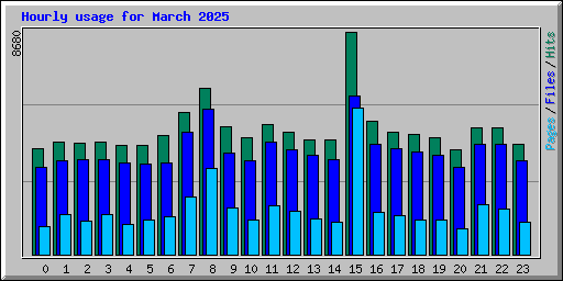 Hourly usage for March 2025