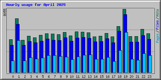 Hourly usage for April 2025