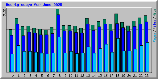 Hourly usage for June 2025
