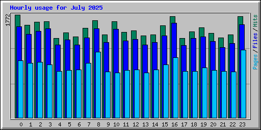 Hourly usage for July 2025