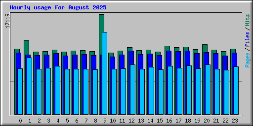 Hourly usage for August 2025