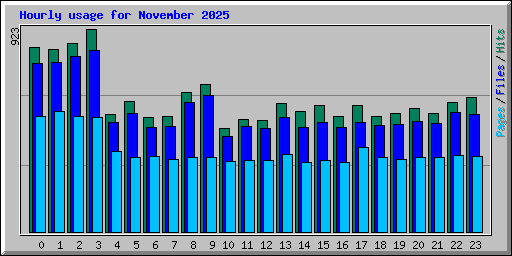 Hourly usage for November 2025