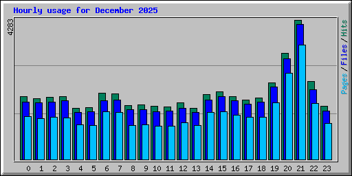Hourly usage for December 2025